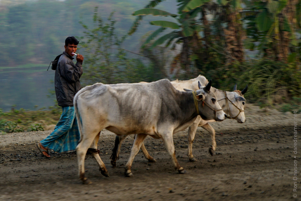 He obviously didn't have time to brush his teeth before leaving for the office.