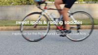 sweetspots-saddles-thumb500pix
