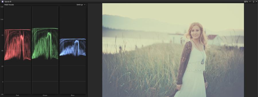 RGB parade values for photograph.